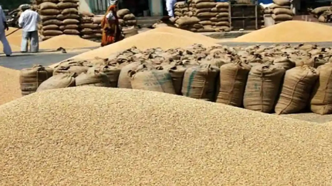 लखीमपुर खीरी: गेंहू खरीद केंद्रों पर किसानों का इंतजार, पहले दिन नहीं हुई खरीद