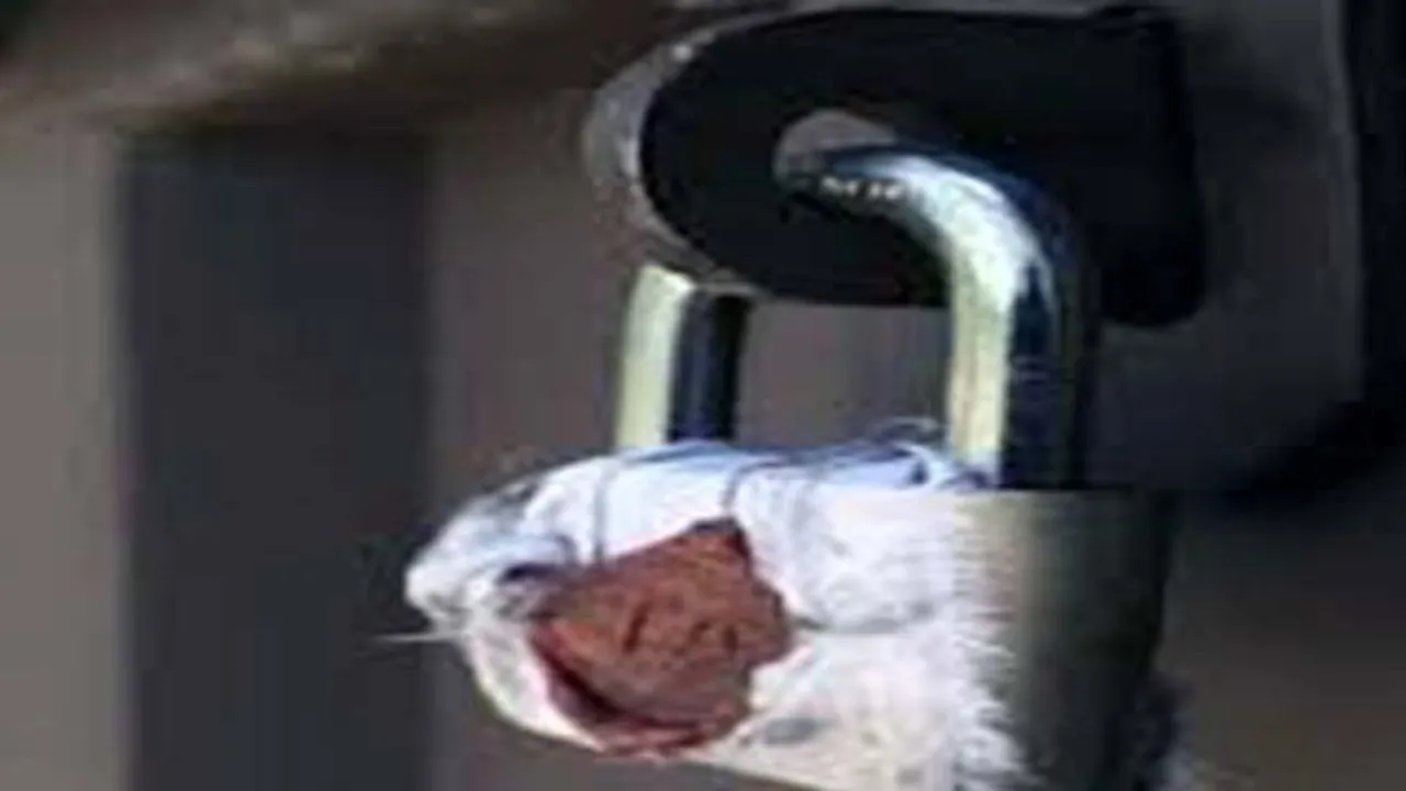 शाहजहांपुर में बकाएदारों के खिलाफ कार्रवाई, 26 दुकानों को नगर निगम ने किया सील