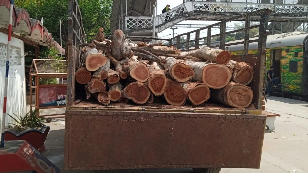 शाहजहांपुर में रेलवे के चोरी के पेड़ काटने वाले छह लोग गिरफ्तार, थाने पर हुआ हंगामा