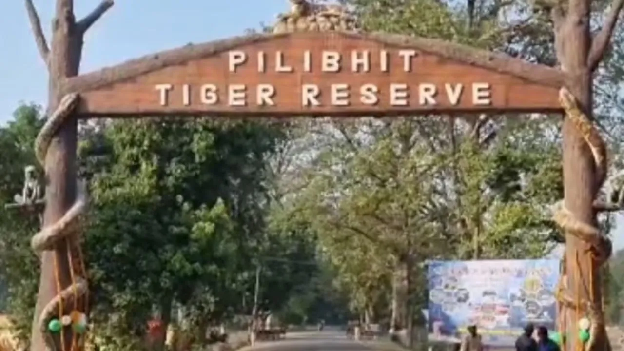 पीलीभीत गैंडा परियोजना पर सुरक्षा आकलन के लिए आई टीम, टाइगर रिजर्व का लिया जायजा