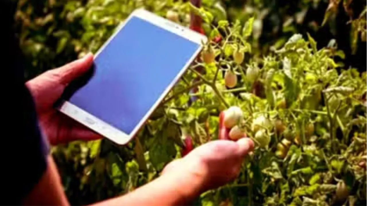 पीलीभीत में रबी फसलों का डिजिटल क्राप सर्वे संपन्न, 188 गांवों में बाकी