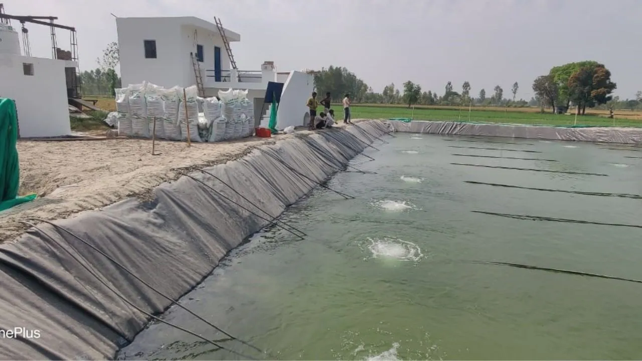 बदायूं: बायोफ्लॉक विधि से मछली पालन, मुनाफे का नया तरीक