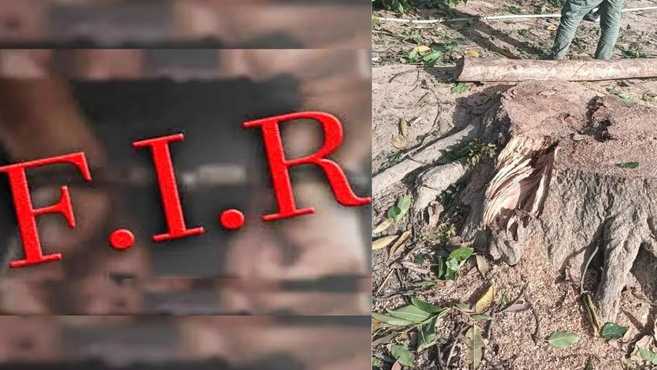 बदायूं में हरे पेड़ों के काटने वालों पर सख्त कार्रवाई, पुलिस ने दर्ज की FIR