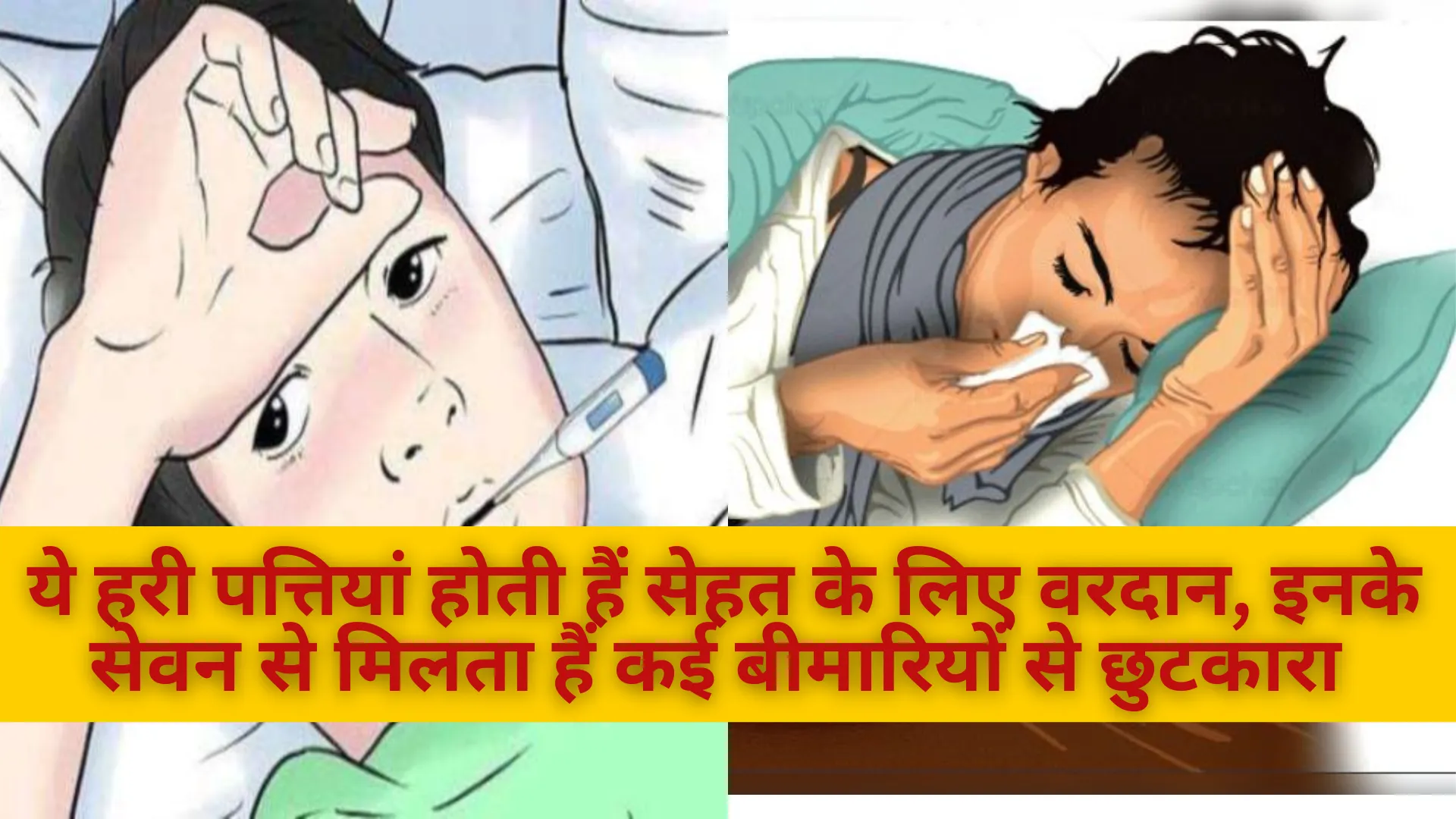 ये हरी पत्तियां होती हैं सेहत के लिए वरदान, इनके सेवन से मिलता हैं कई बीमारियों से छुटकारा 