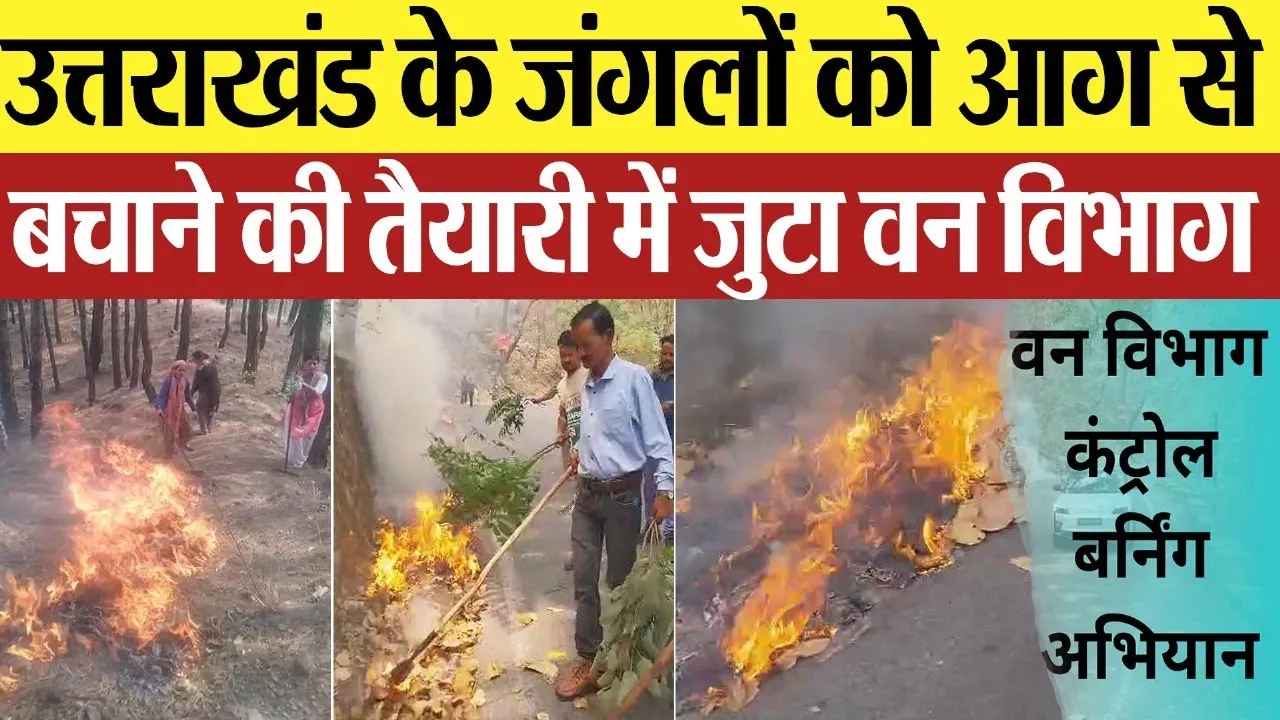 Haldwani News : उत्तराखंड के जंगलों को आग से बचाने की तैयारी में जूटा वन विभाग