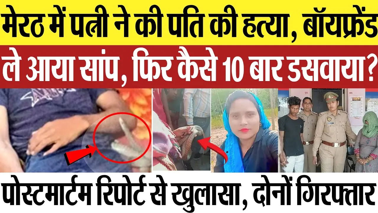 Meerut News | मेरठ में पत्नी ने की पति की हत्या, सांप से 10 बार डसवाया.. बॉयफ्रेंड संग Wife ने मारा