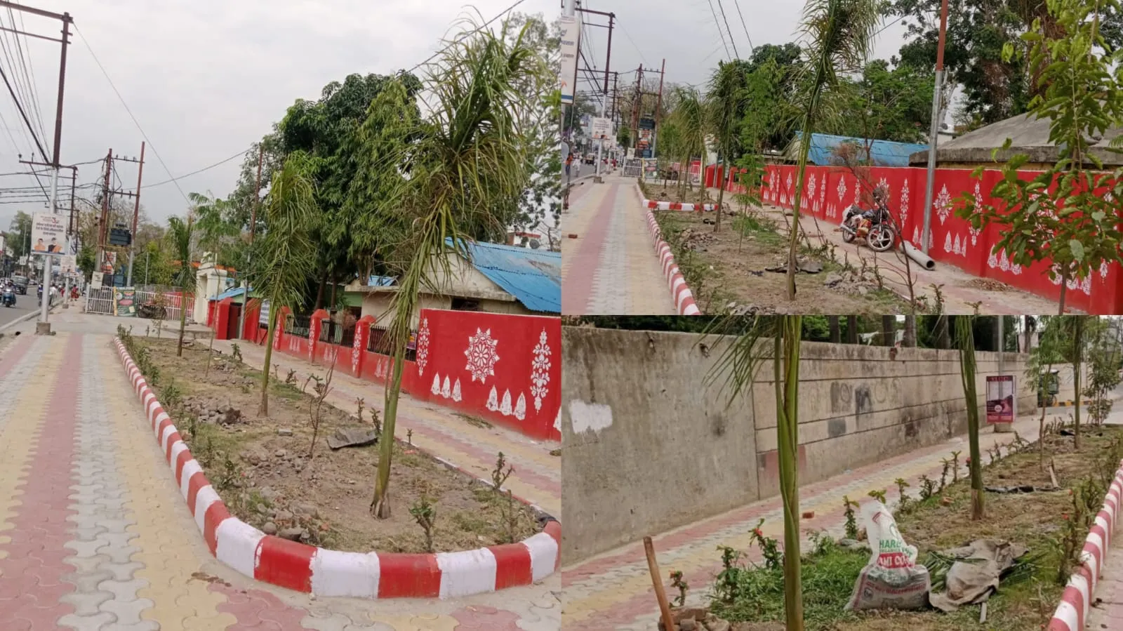 बोतल पाम, फायकस, ब्रश ट्री से हरा और सुंदर होगा हल्द्वानी