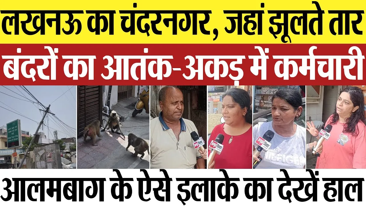 अमृत विचार आपके द्वार: Lucknow के आलमबाग का चंदरनगर.. झूलते तार, बंदरों का आतंक-अकड़ में कर्मचारी..