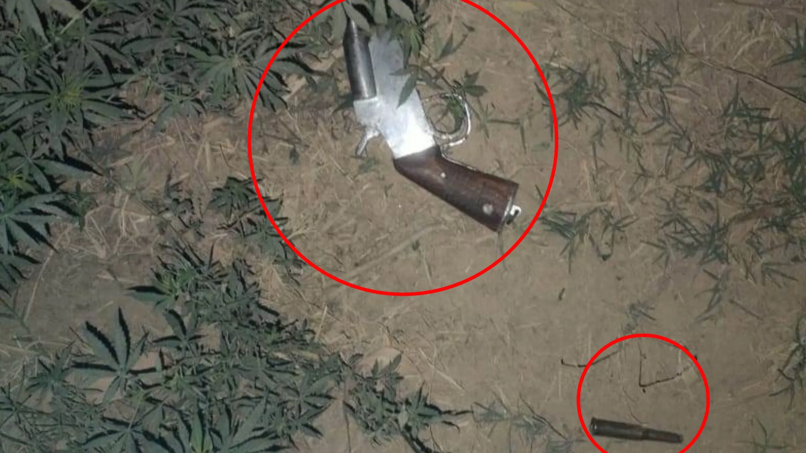 रामपुर: बदमाशों से पुलिस की मुठभेड़, लूट की बना रहे थे योजना, गोली लगने से एक घायल