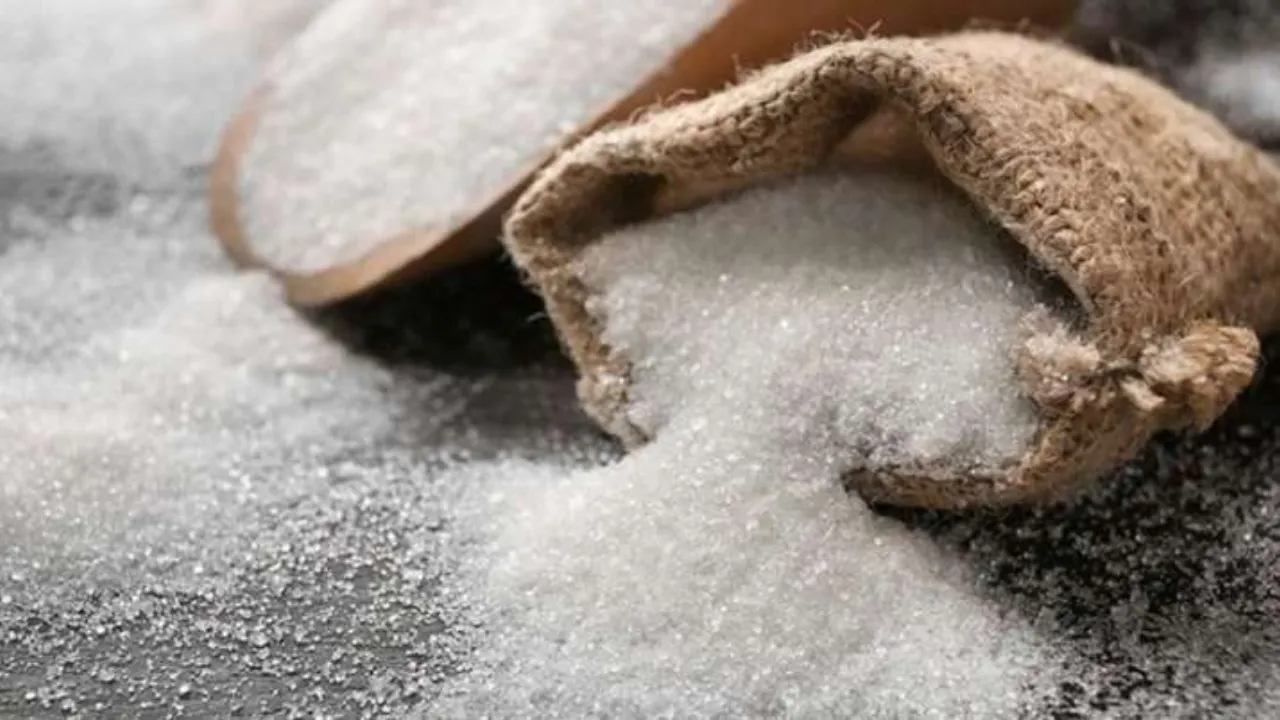 भारत ने 2.87 लाख टन चीनी का किया निर्यात, सामने आए 2024-25 के आंकड़े