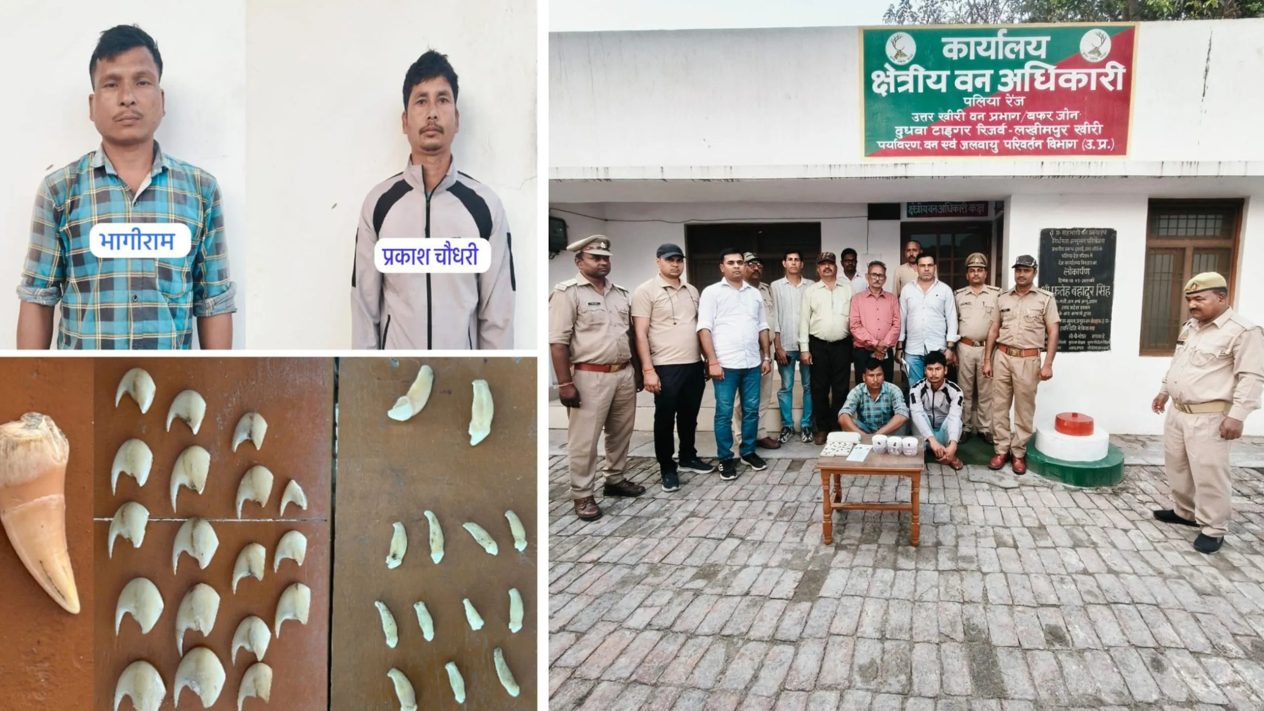 लखीमपुर खीरी: वन विभाग की कस्टडी से भाग निकला वन्य जीव तस्कर