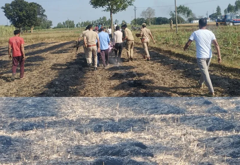 बिजनौर : गेहूं काटते समय खेत में लगी आग, बुझाने के प्रयास में जिंदा जल गया किसान 