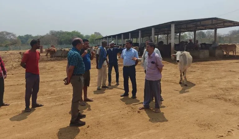 बाराबंकी: बीडीओ ने लिया एक्शन...गोपालक को हटाया, सचिव को नोटिस जारी