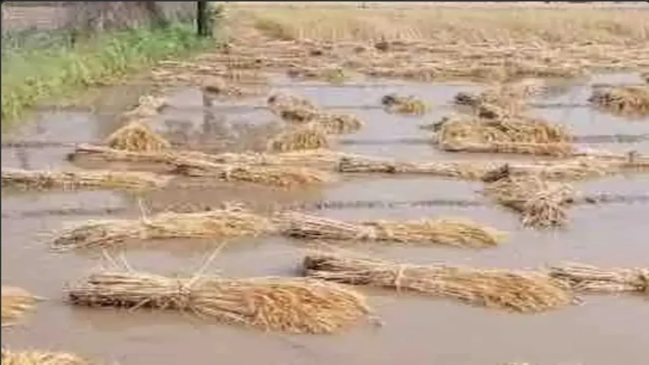 अमेठी: तेज हवा के साथ शुरू हुई बारिश, भीषण गर्मी से लोगों को मिली राहत, किसानों का हुआ भारी नुकसान 