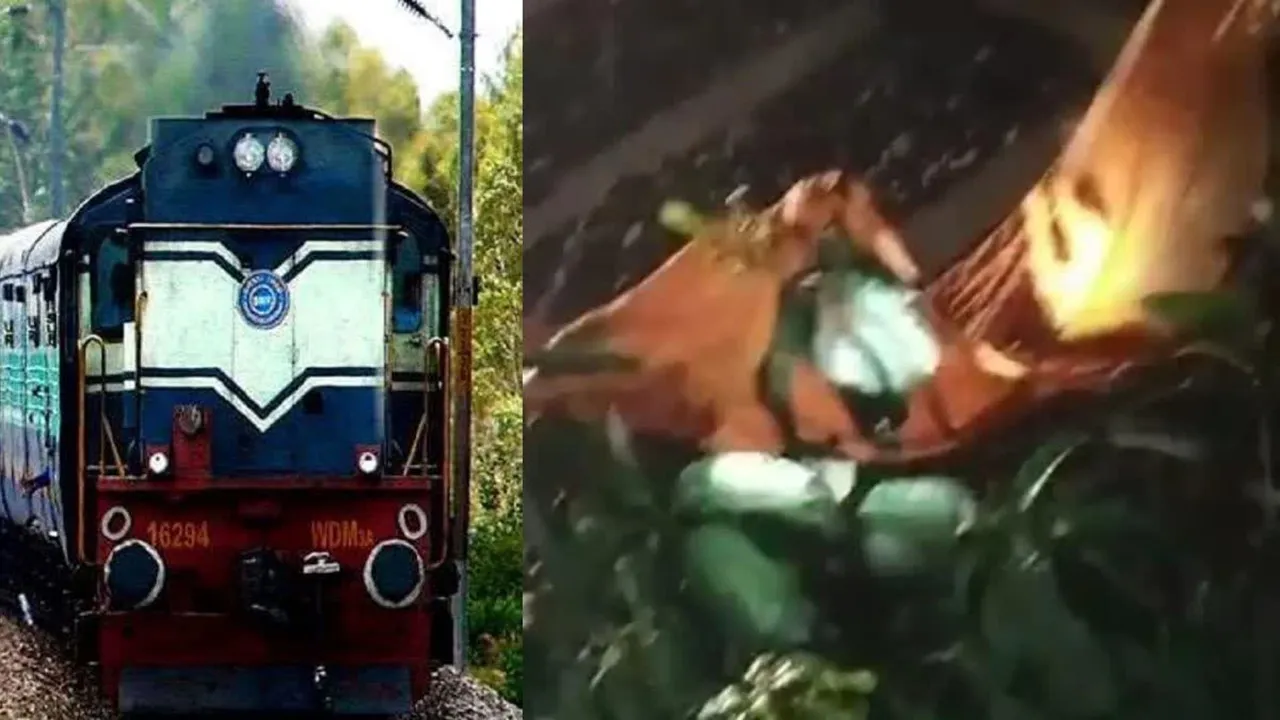 साजिश या शरारत: पटरी पर लकड़ियां रख गरीब रथ पलटाने की साजिश, लोको पायलट की सूझबूझ से टला बड़ा हादसा