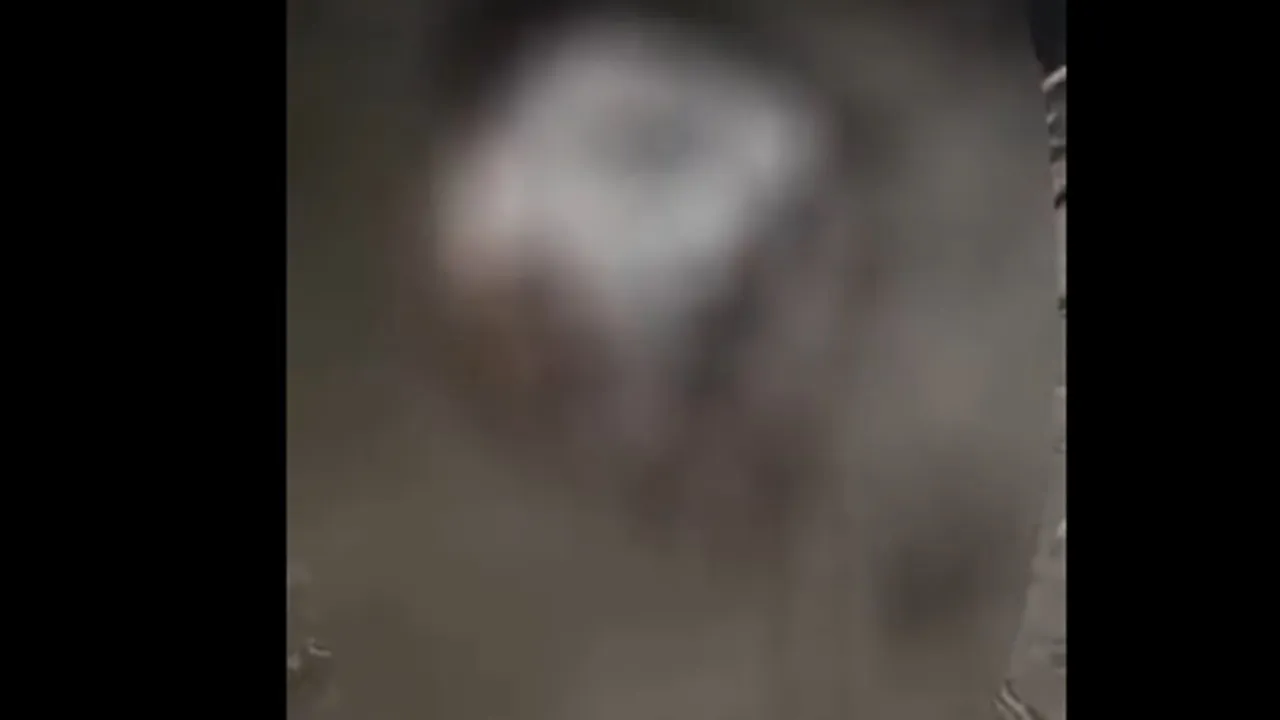 बहराइच: दुष्कर्म के आरोपी को गांववालों ने निर्वस्त्र कर बैलगाड़ी से बांधा पीटा, गांव में पुलिस बल तैनात 