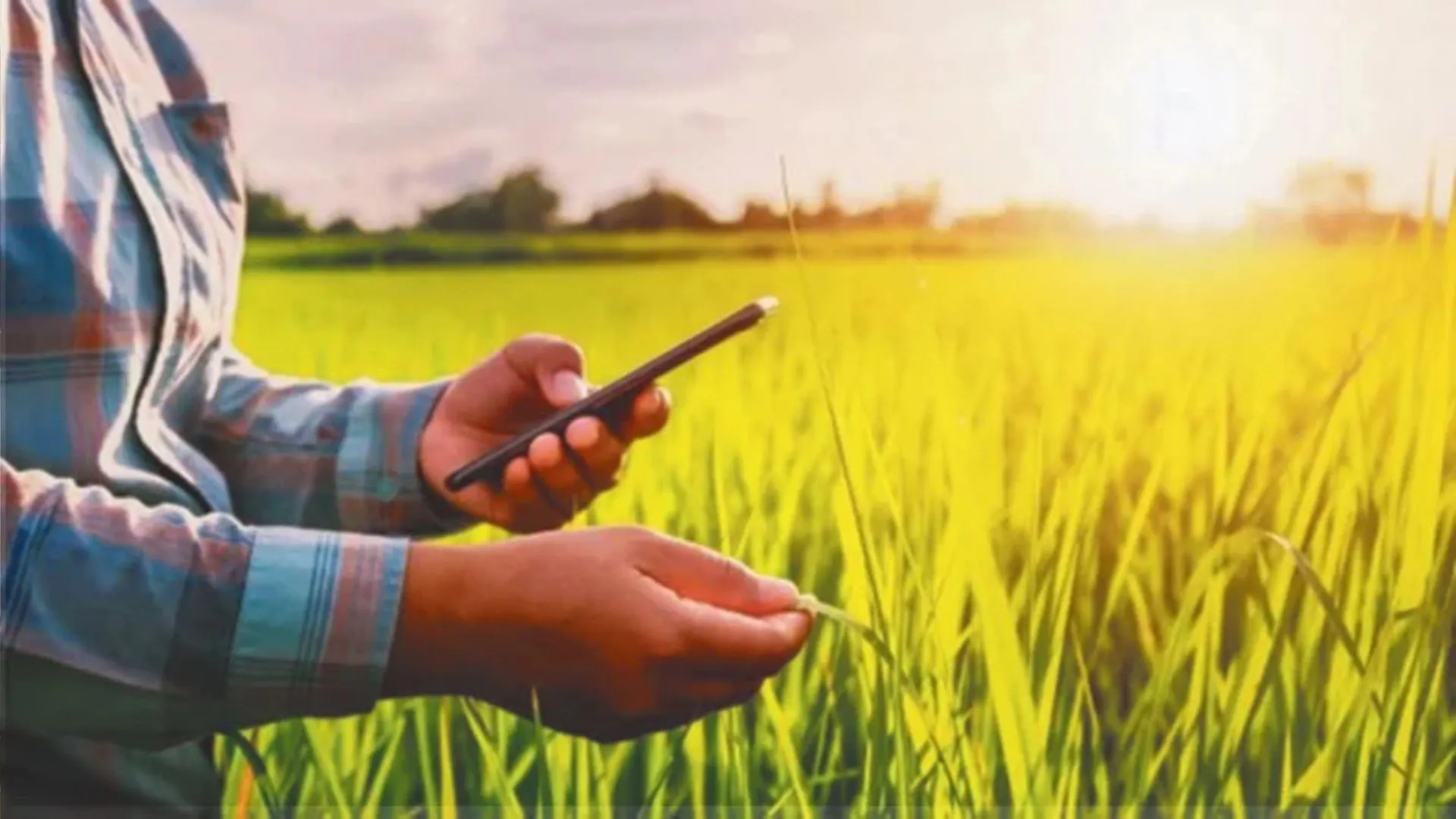 UP में 30 जून तक घर बैठे अपनी फसल बेच सकेंगे किसान, बस करना होगा ये काम