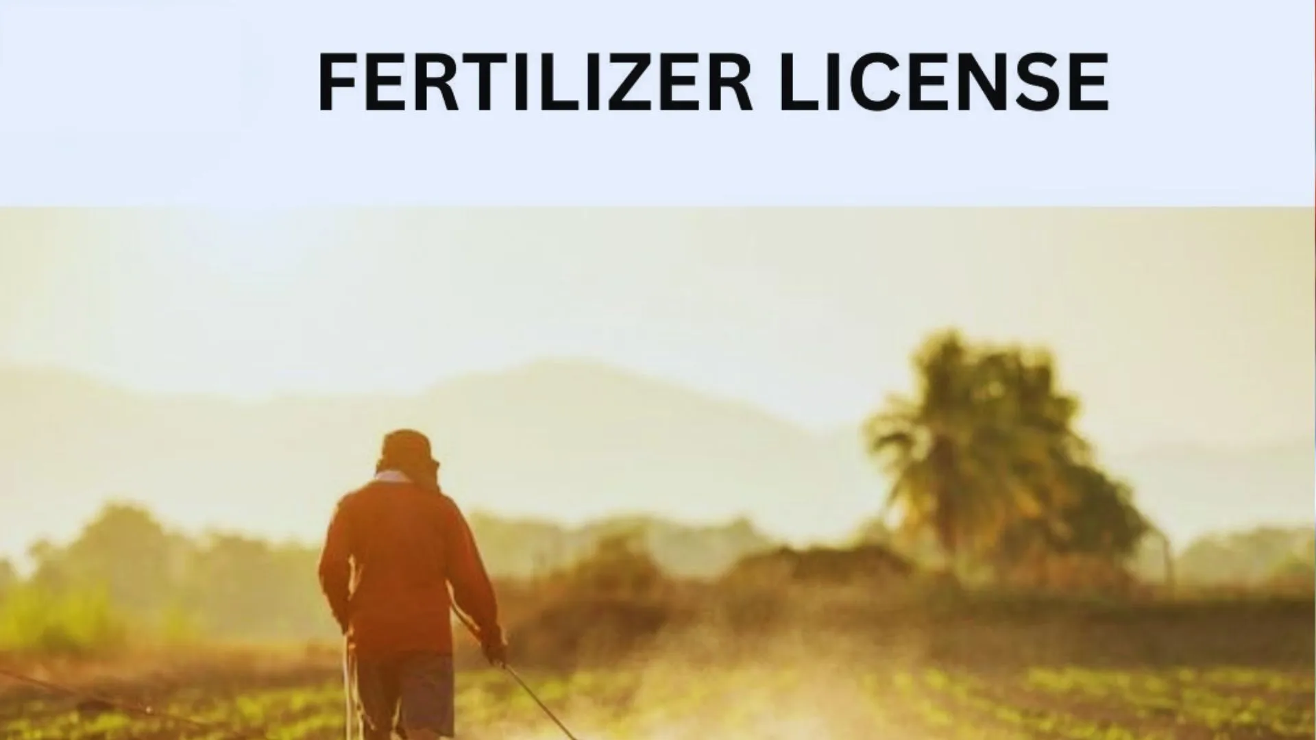 बाराबंकी: एक सप्ताह में लाइसेंस कराएं अपडेट नहीं तो आईडी होगी बंद, बिक्री पर लगेगी रोक