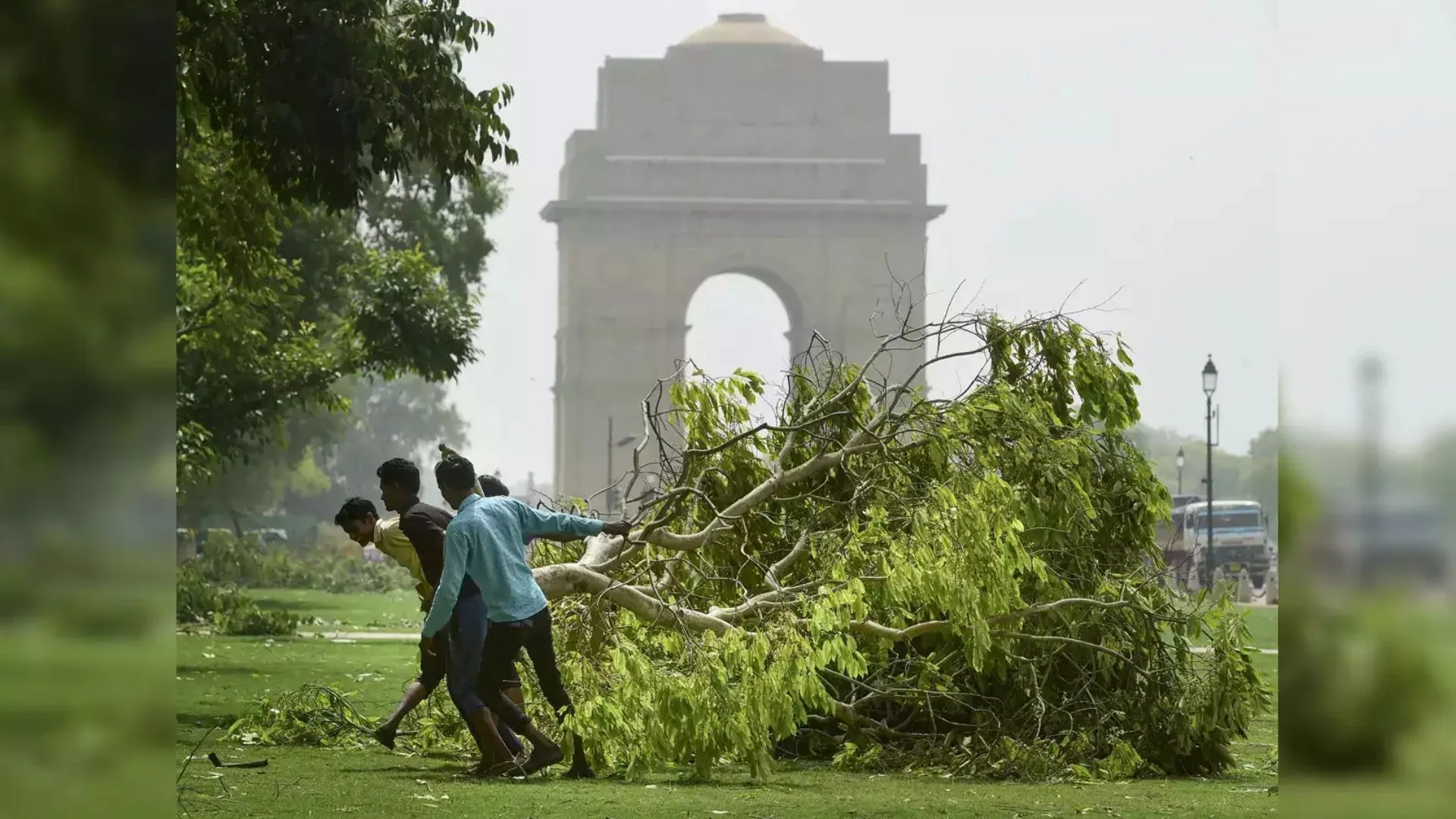 दिल्ली सरकार ने पेड़ों के गिरने से होने वाली समस्याओं से निपटने के लिये ‘QRT’ का किया गठन 