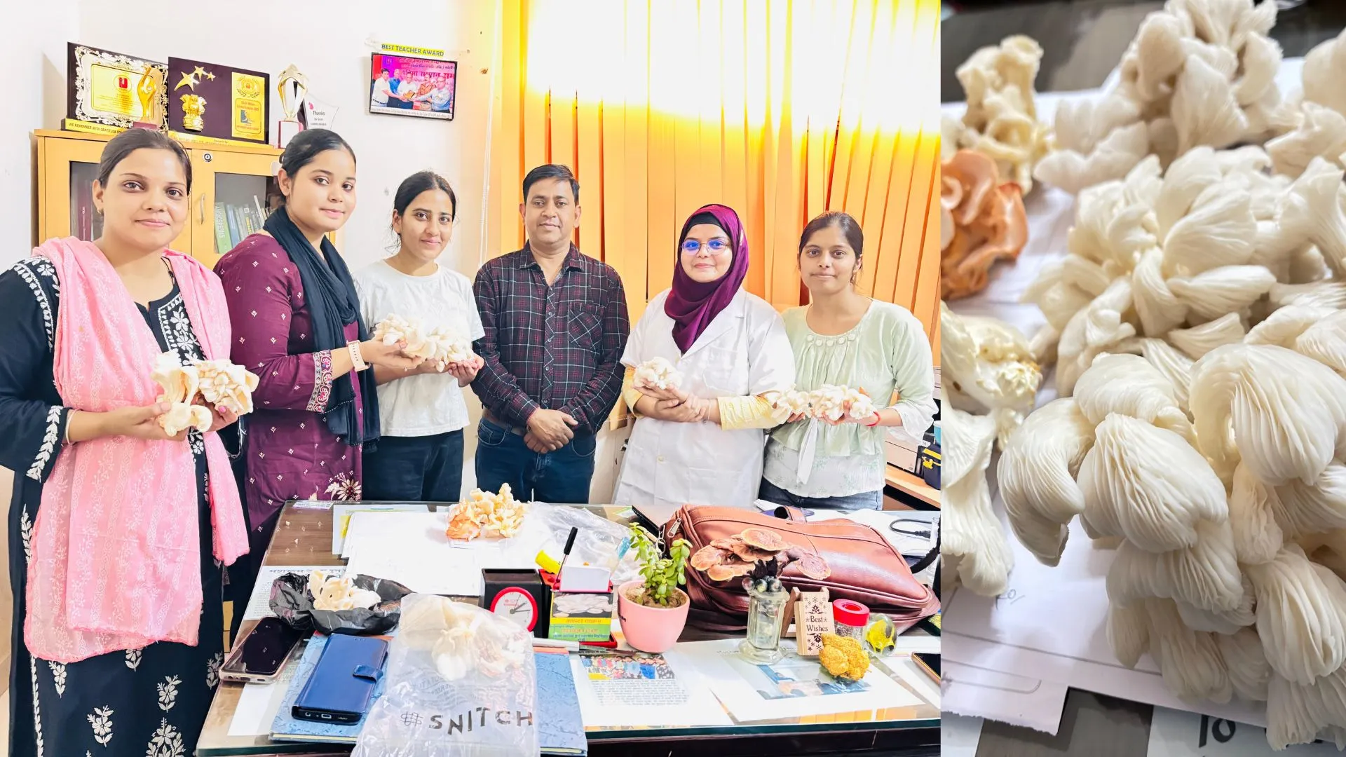 बरेली के छात्रों ने 120 रुपये की बोरियों में पैदा कर दी इतनी मशरूम, किसान करेंगे तो हो जाएंगे मालामाल 