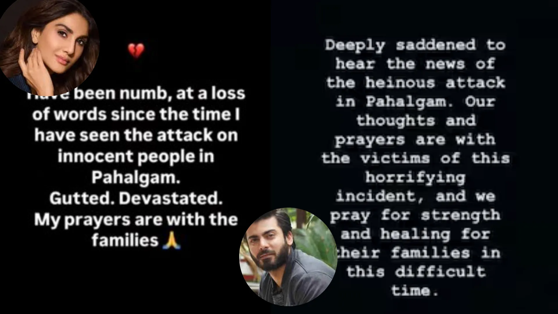 फवाद खान, वाणी कपूर ने पहलगाम आतंकवादी हमले की निंदा की, सोशल मीडिया पोस्ट के जरिये जाहिर किया दुःख 