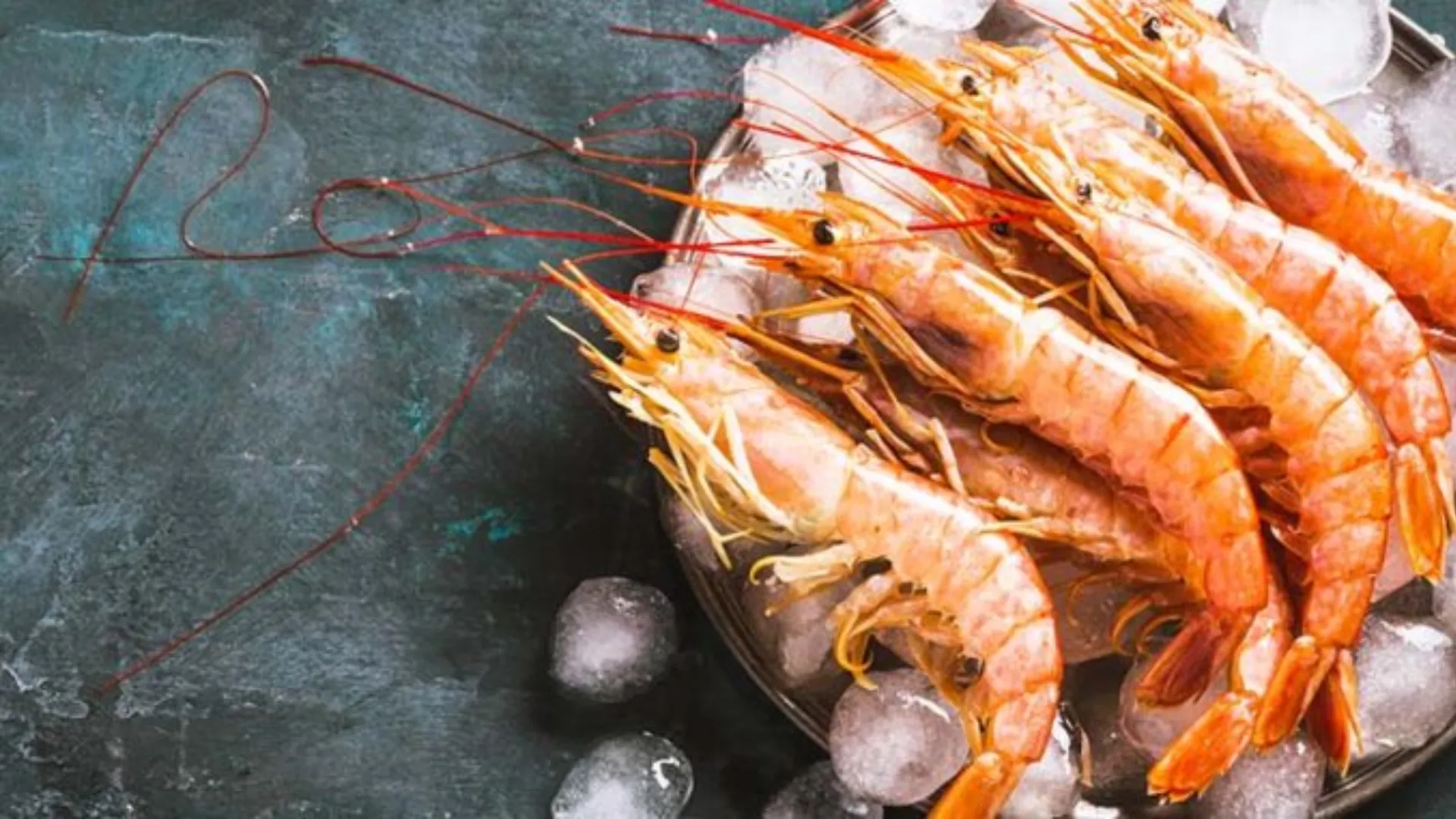 अमेरिका को 40,000 टन झींगा भेजने को तैयार भारत, शुल्क बढ़ोत्तरी में रोक के बाद लिया फैसला 