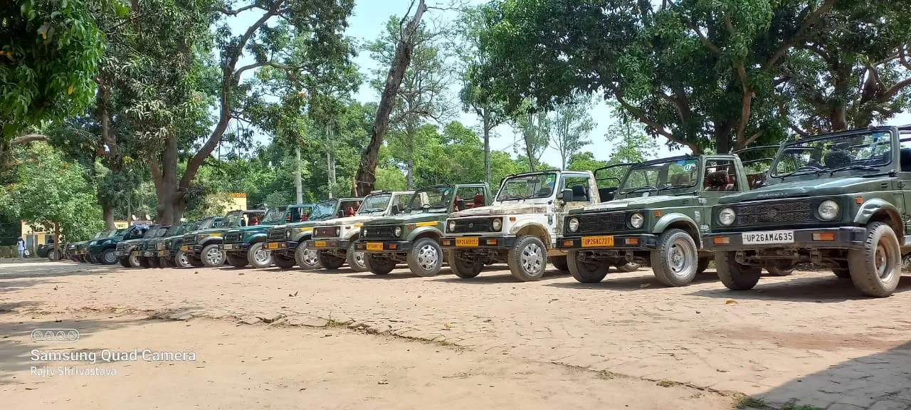 पीलीभीत: पीटीआर में अब सुबह छह बजे होगा सफारी वाहनों का संचालन, गर्मी के चलते बदला समय 