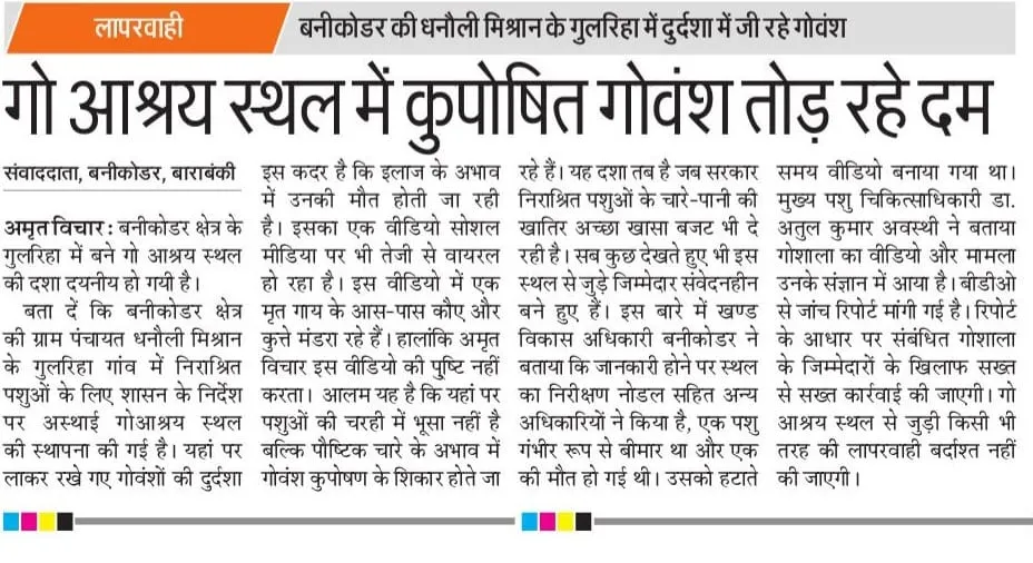 WhatsApp Image 2025-04-09 at 17.38.37_056780cd