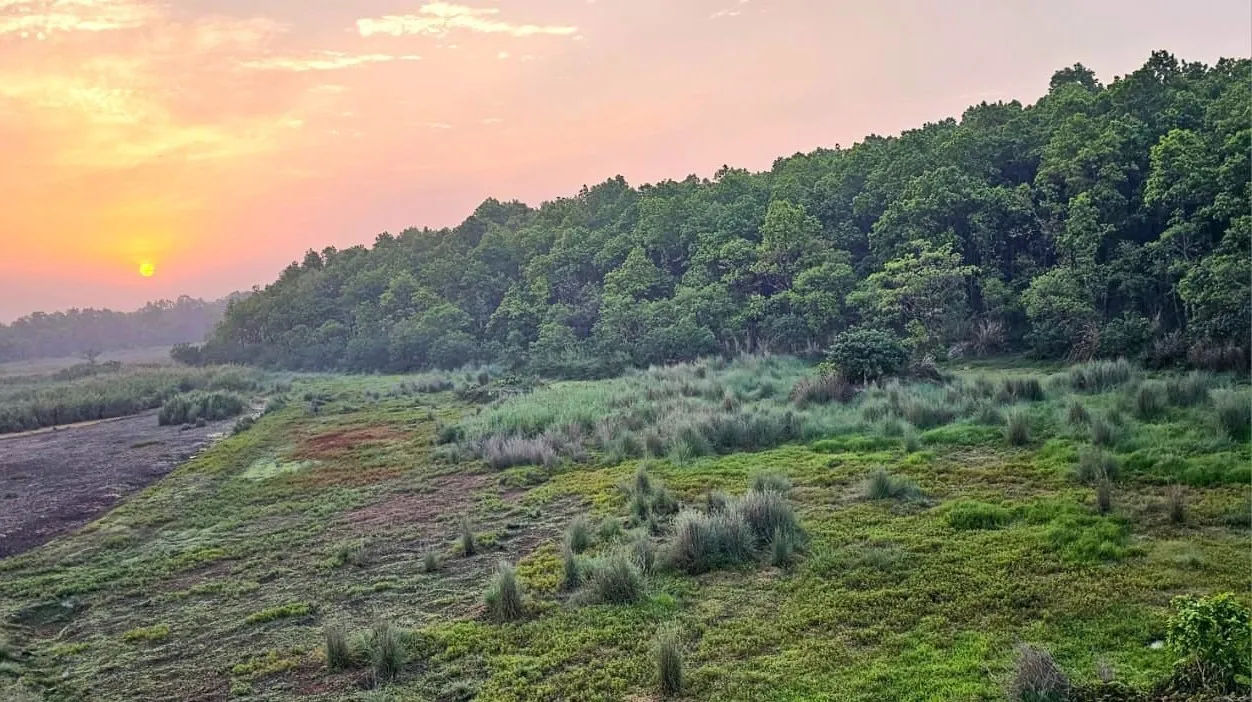 पीलीभीत: 2162 हेक्टेयर घटा हरियाली का दायरा, मंत्रालय से भेजी गई रिपोर्ट के बाद खलबली 