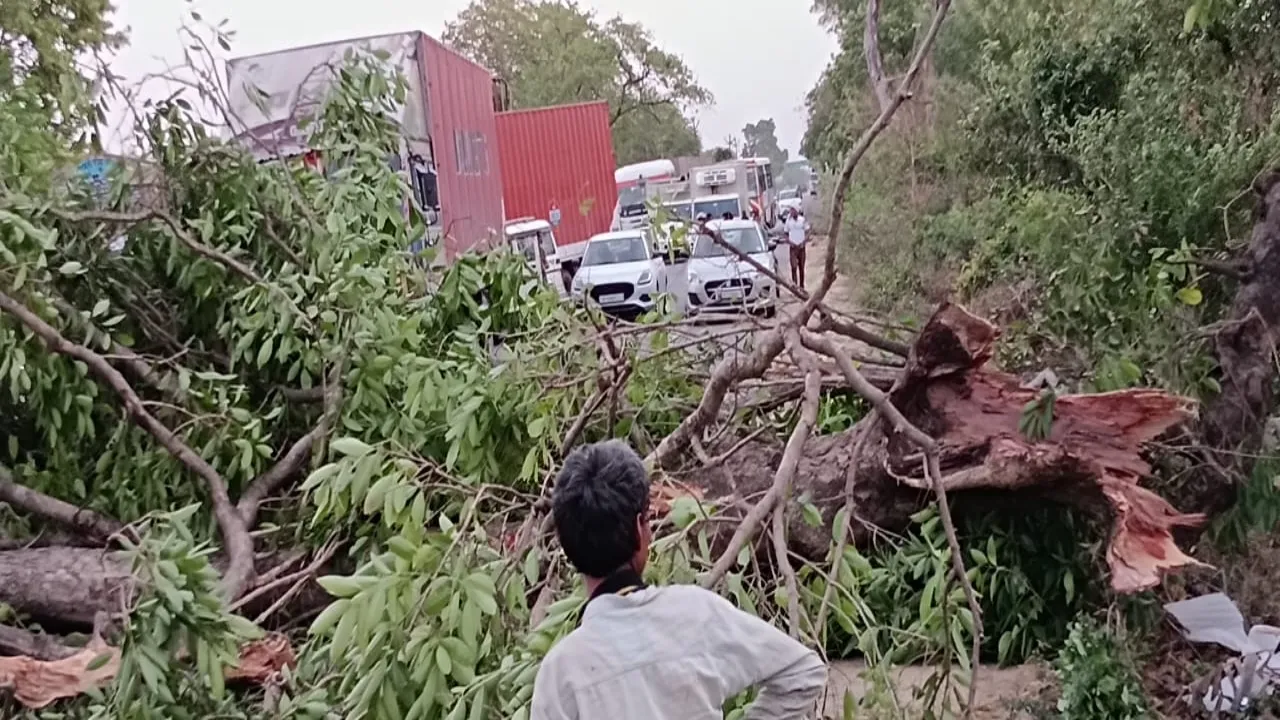 Barabanki News : तेज हवा में गिरे कई पेड़, कई घंटे गुल रही बिजली
