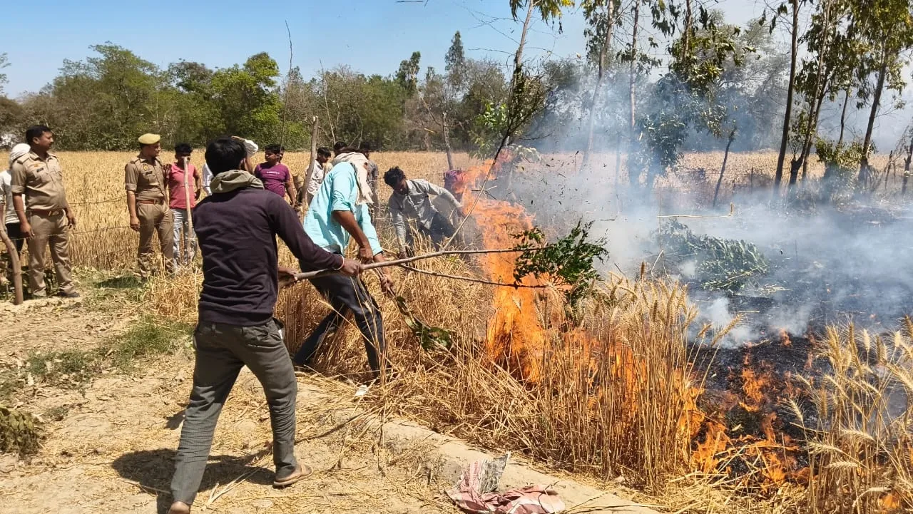 बाराबंकी अग्निकांड : पछुआ हवा संग आग का कहर, सैकड़ों बीघा फसल राख