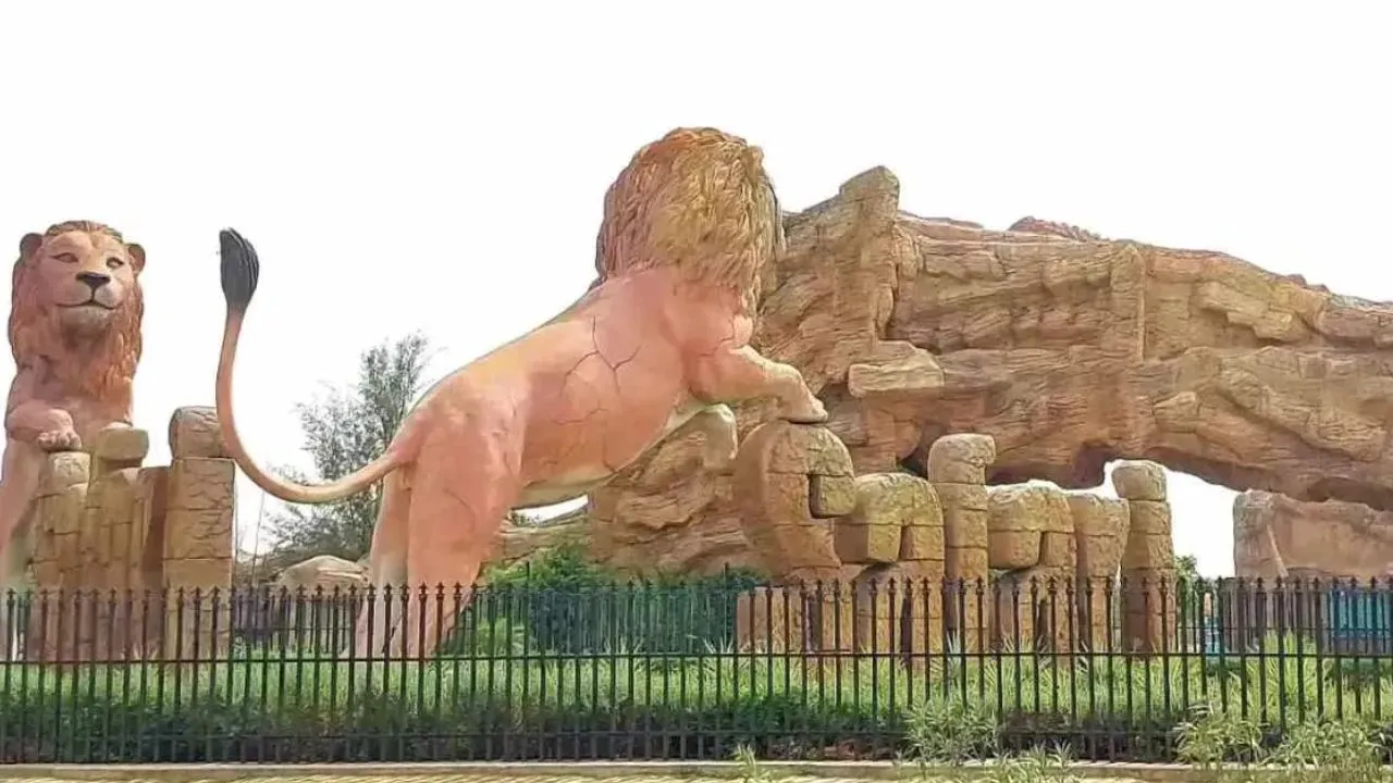 Etawah: शेरनी रूपा ने चार शावकों को दिया जन्म, सभी स्वस्थ, सीसीटीवी कैमरों से हो रही निगरानी, सफारी पार्क में बब्बर शेरों की संख्या 21 हुई