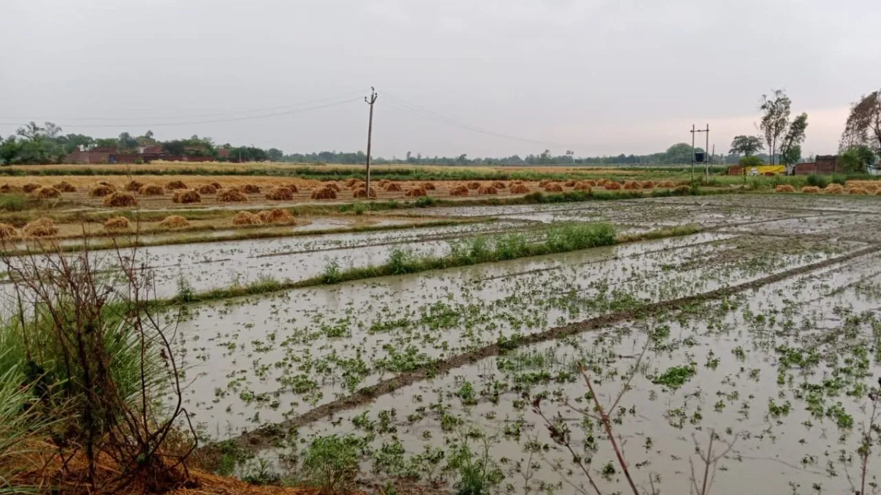 कन्नौज में पलटा मौसम, तूफान संग बारिश से आफत, पारा लुढ़का: दो-तीन दिन तक ऐसे ही मौसम रहने की संभावना