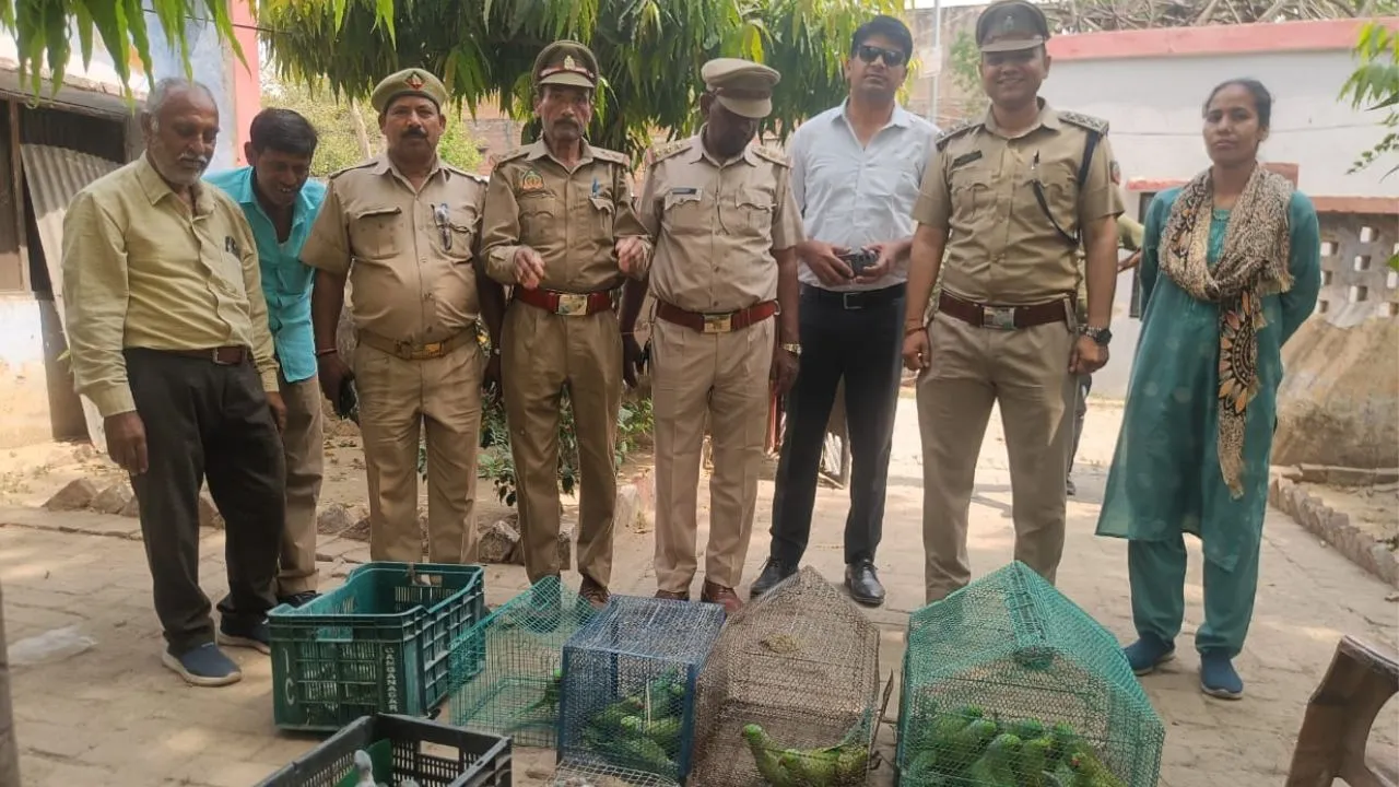 Kanpur: पक्षियों का अवैध कारोबार पकड़ा, भीड़ के हंगामे का फायदा उठाकर आरोपी भागा, जानिए पूरा मामला