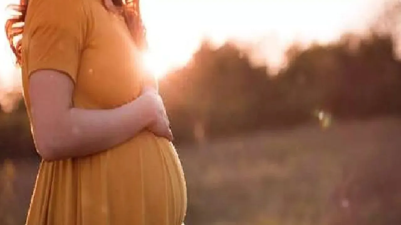 जननी मित्र एप करेगा गर्भवतियों की देखभाल व जांच, पूरे देश में लागू होगी व्यवस्था, एप व डिवाइस के संबंध में चल रही स्टडी