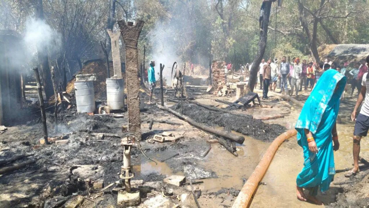गोंडा अग्निकांड : नौ झोपडियों समेत 40 एकड़ फसल जलकर राख, एक मवेशी की मौत 