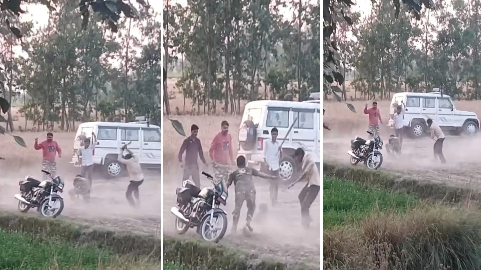 पीलीभीत: वीडियो वायरल...घायल मादा तेंदुआ पर वनकर्मी ने किया था कुल्हाड़ी से वार !  