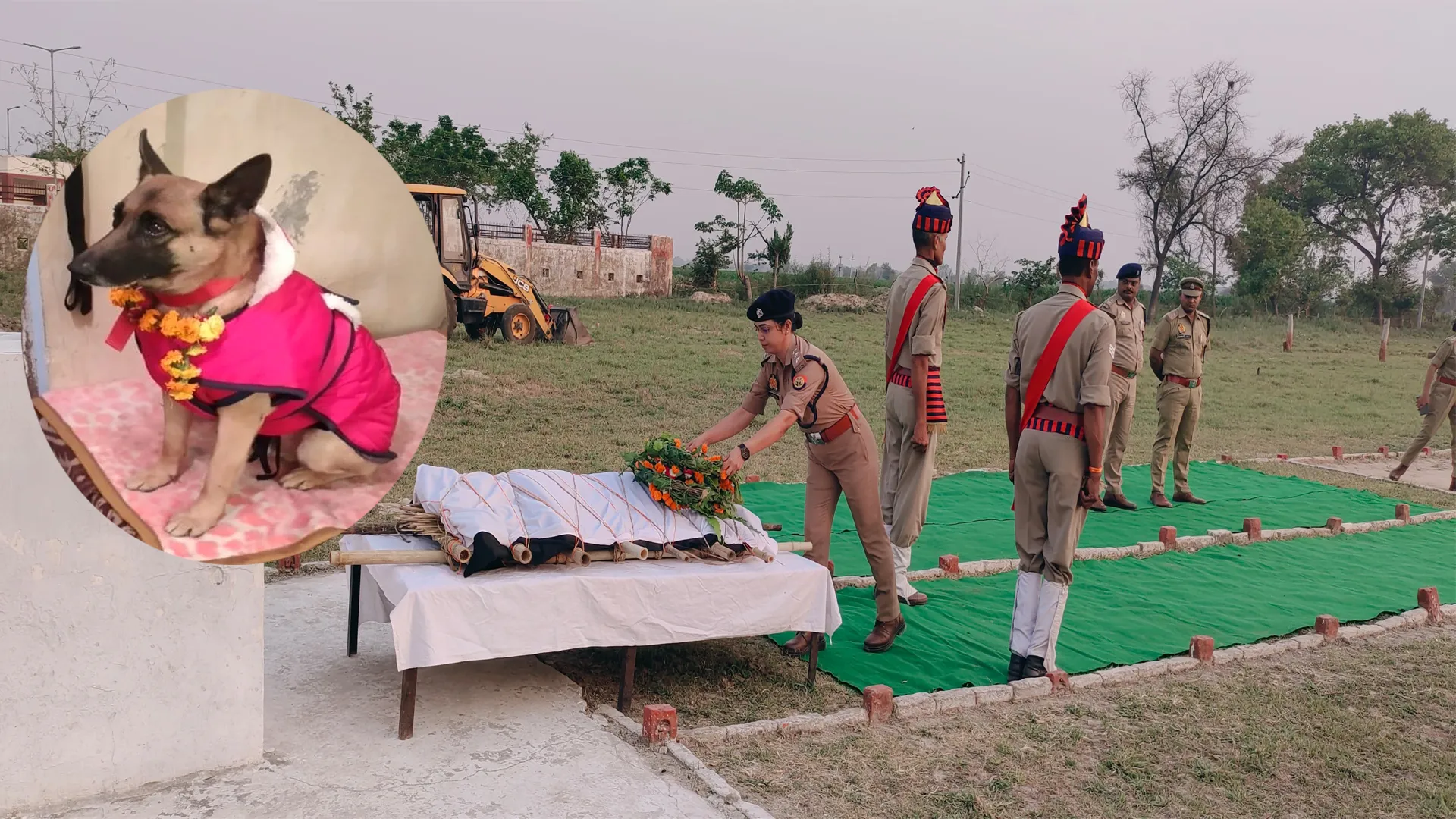 कासगंज: नहीं रहा पुलिस का जांबाज डॉग जॉनी...12 साल तक किए बड़े खुलासे