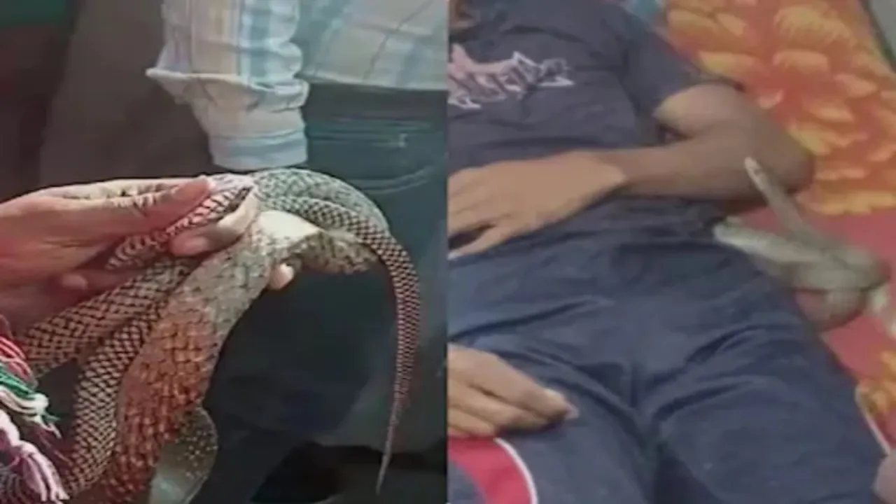 सांप से कटवाया