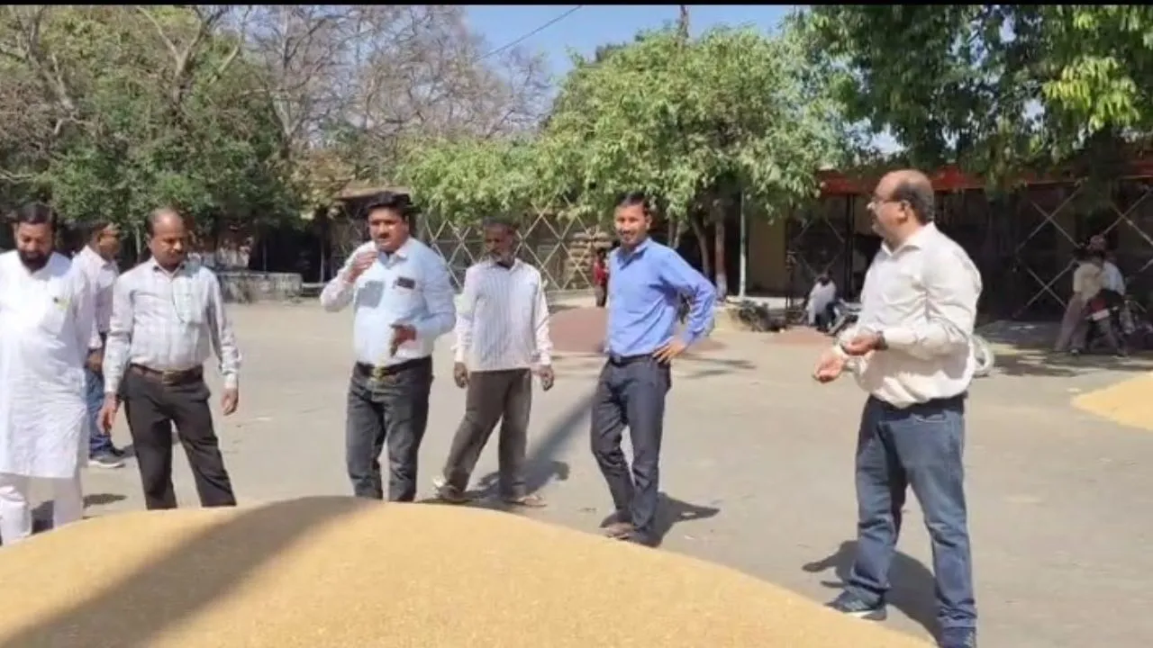 पीलीभीत में गेहूं खरीद का खाता खुला, 10 केंद्रों पर 36 मीट्रिक टन गेहूं की आवक