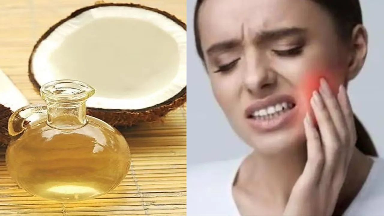 बरेली: क्या आपके दांतों और मसूड़ों में दर्द है? नारियल तेल का ऐसे करें इस्तेमाल मिलेगी राहत