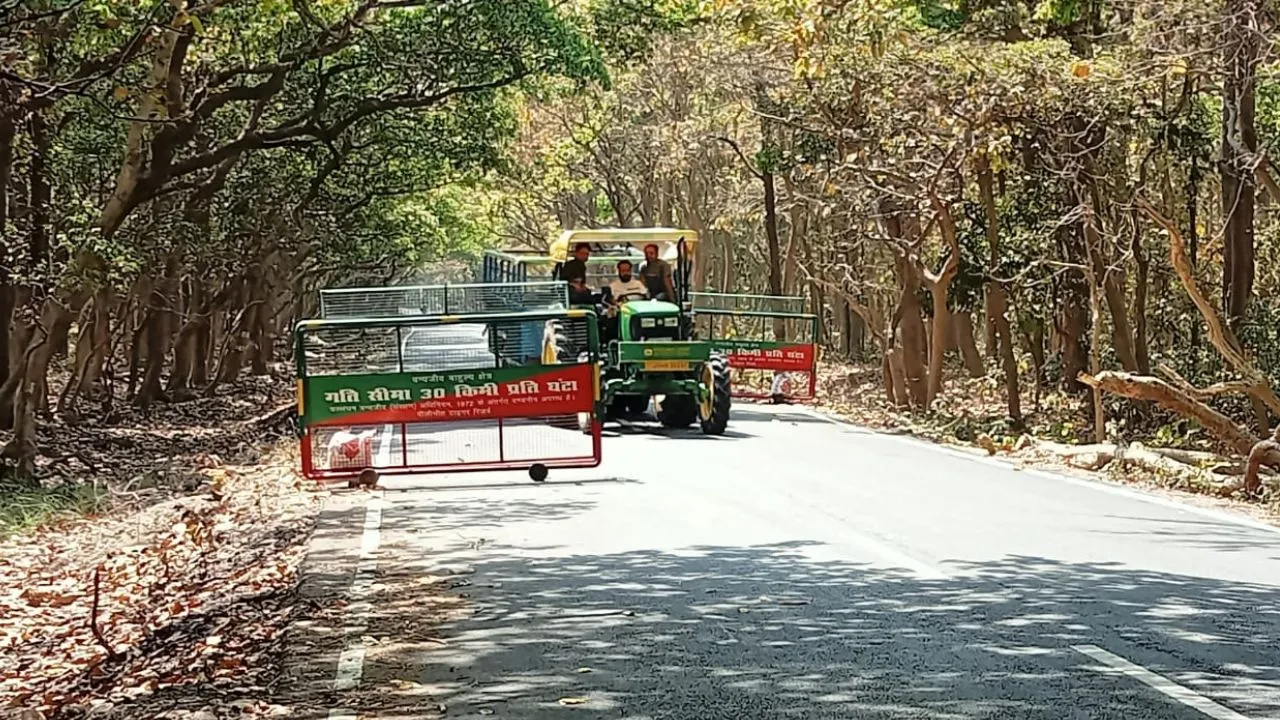 पीलीभीत: माला रेंज के 8 किमी जंगल मार्ग पर बेलगाम रफ्तार, हादसों की लगातार बढ़ रही घटनाएं