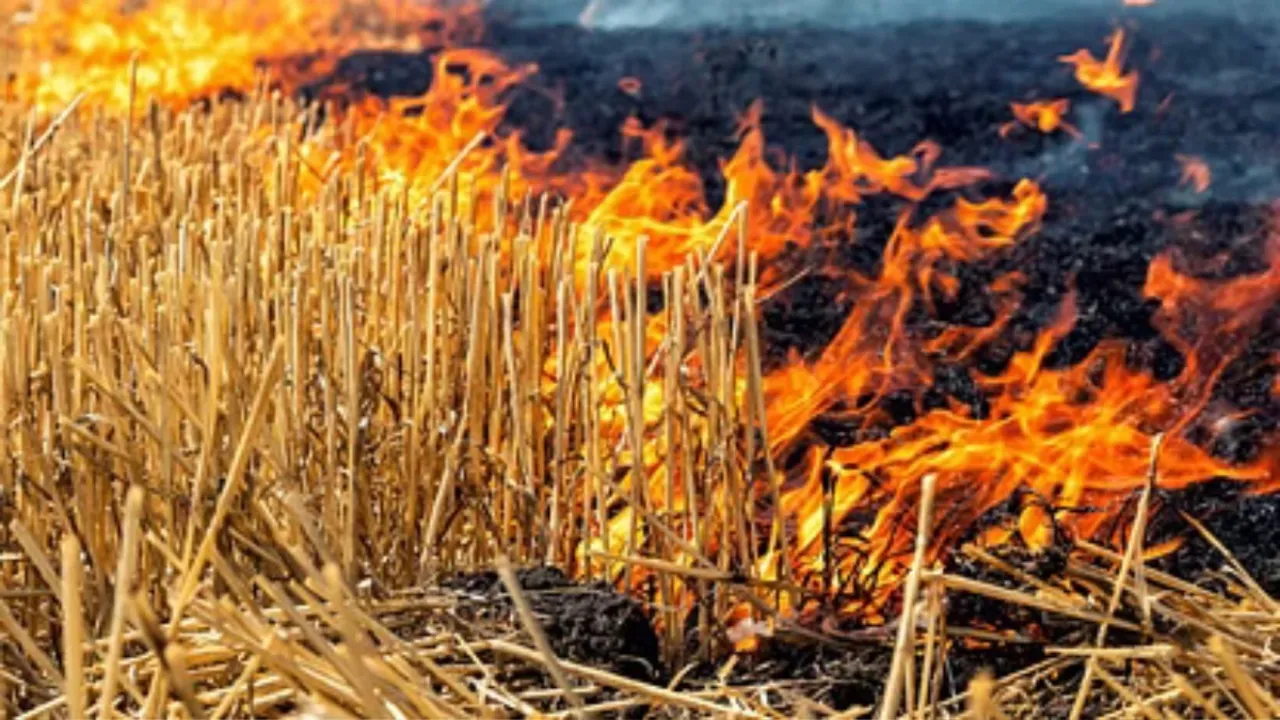 पराली की आग से निकली चिंगारी में 12 झोपड़ी खाक, लोगों का रो-रोकर बुरा हाल