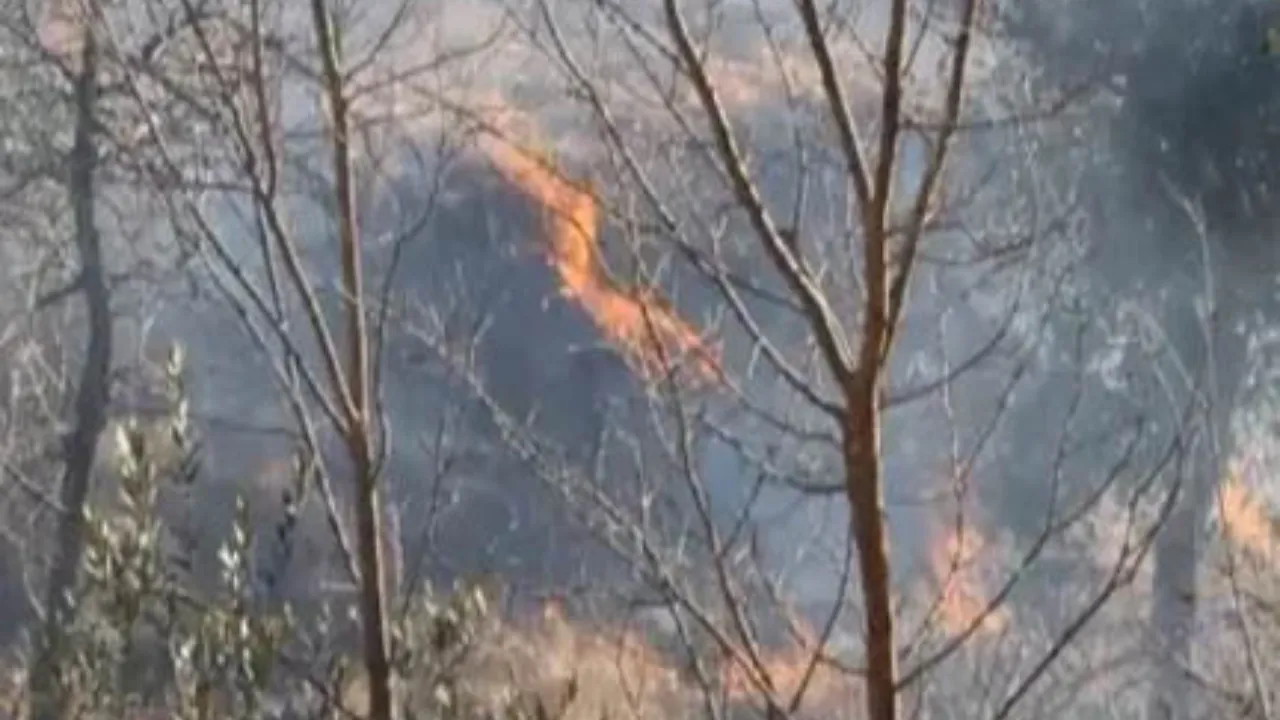 Jammu: पुंछ में नियंत्रण रेखा पर जंगल में लगी आग, बारूदी सुरंगों में हुआ विस्फोट