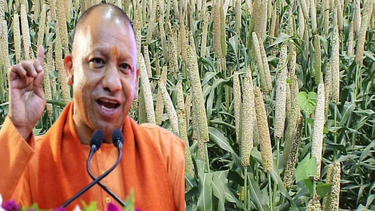 लखनऊः 40 हजार से अधिक हेक्टेयर में होंगी खरीफ फसलों की खेती, 116.41 हजार मीट्रिक टन उत्पादन का सरकार ने रखा लक्ष्य