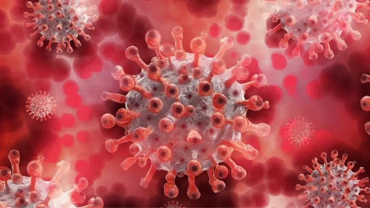 महाराष्ट्रः कोविड-19 का कहर बरकरार,  जनवरी से अब तक दो लोगों की मौत, 52 का चल रहा इलाज