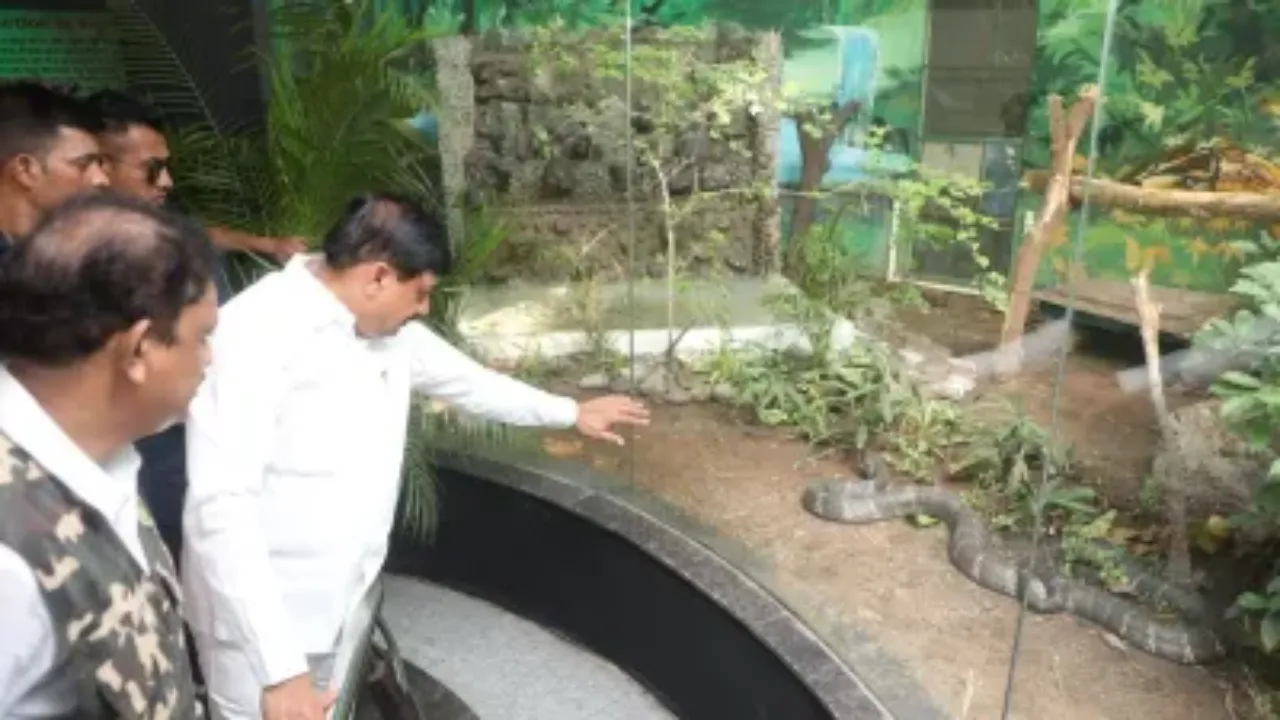 CM मोहन यादव ने इंदौर के चिड़ियाघर को किंग कोबरा किया भेंट, जानें क्यों है खास