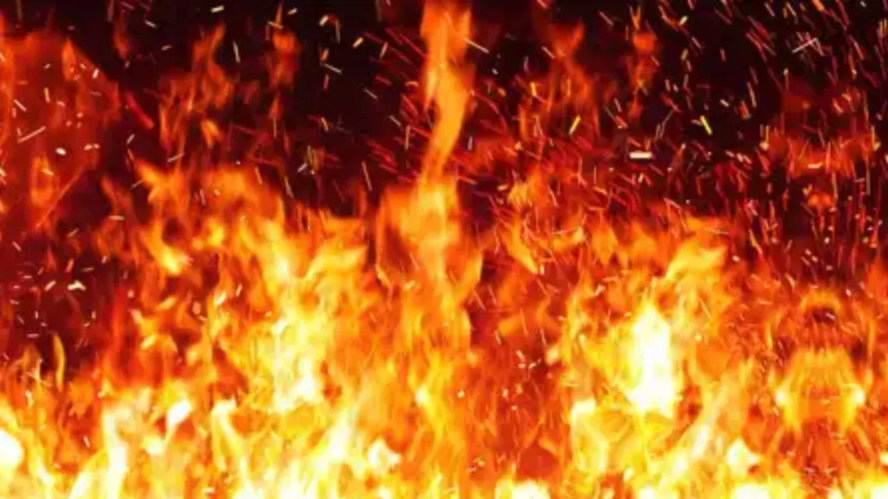 दिल्ली: कोटला मुबारकपुर बाजार में धूं-धूं कर जली दुकानें, जलकर खाक हुआ लाखों का सामान