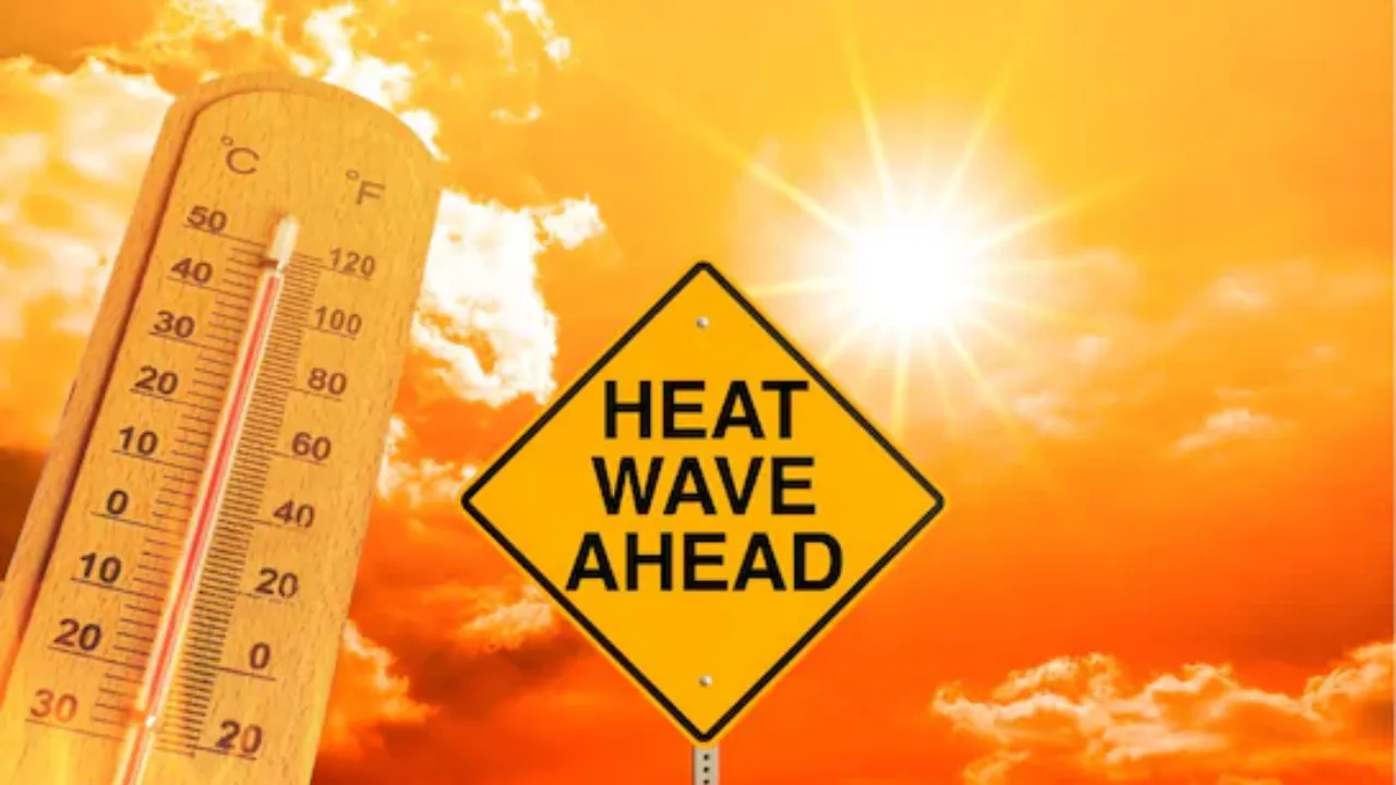 राजधानी समेत 19 जिलों में हीटवेव का अलर्ट जारी,  लू की चपेट में राज्य के कई जिले