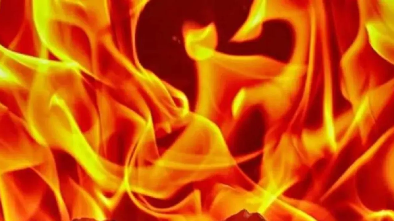 दिल्लीः बवाना में फैक्टरी में लगी भीषण आग, विस्फोट से ढही इमारत 